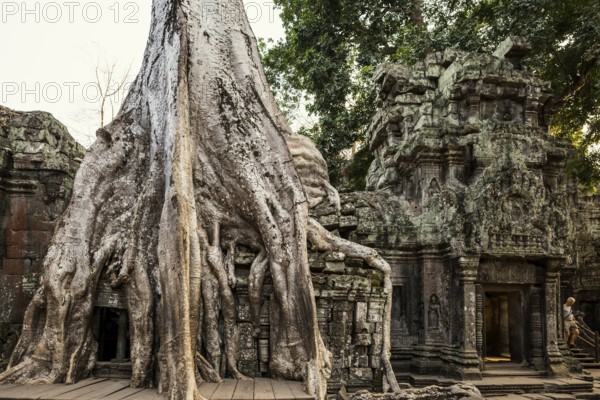 Ta Prohm, Angkor Wat, Angkor, UNESCO World Heritage Site, Siem Reap, Cambodia, Indochina, Southeast