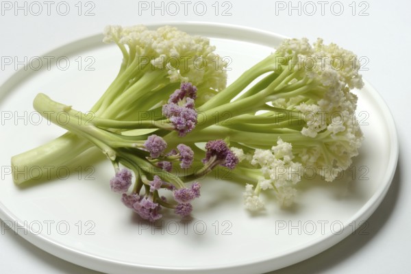 Fioretto, a cross between cauliflower and broccoli. The flowers are reminiscent of coral,