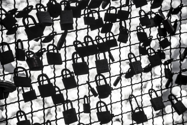 Padlocks, so-called love locks on a fence, vantage point in Wesel am Rhein, North Rhine-Westphalia,