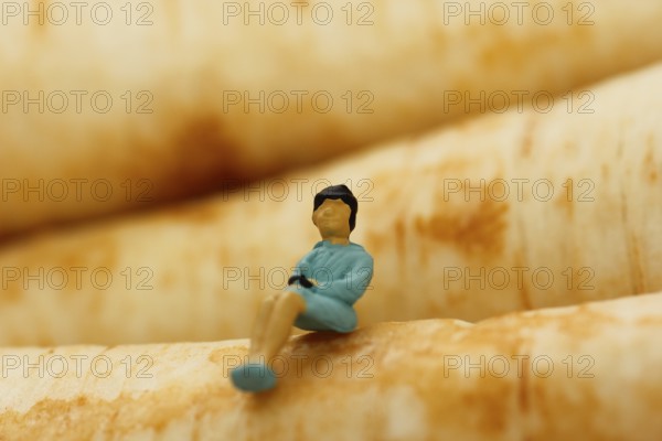 Miniature figure of a woman sitting on parsley root (Petroselinum crispum), root parsley, North