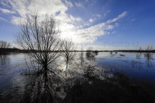 Lippe, flood in the renaturalised floodplain area at the mouth of the Lippe into the Rhine, Wesel,