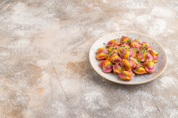 Rainbow colored dumplings with pepper, herbs, microgreen on brown concrete background. Side view,