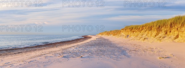 Sunny evening by the sea, unspoilt beach of the Baltic Sea with white sand at Darßer Ort in the