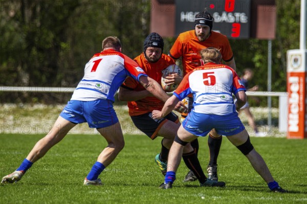 Rugby 1st Bundesliga South/West, Season 2024/25, Matchday 10: RG Heidelberg vs Heidelberger