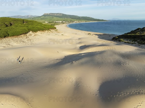 The famous dune of Bolonia at the sandy coastline of the Atlantic Ocean and framed by forests of