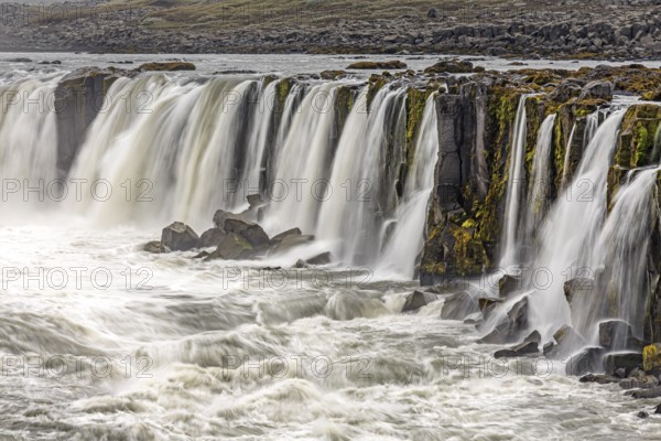 Waterfall at a river, cascades, spray, rapids, summer, foggy, Selfoss, North Iceland, Iceland,