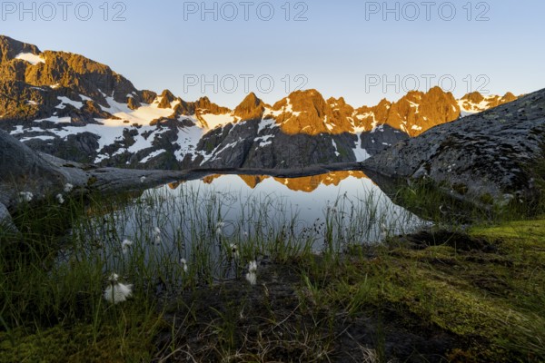 Rocky mountain peaks with reflection, small pond with cotton grass in moor landscape at Trollfjord