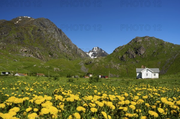 The houses of Haukland Beach, with Mount Himmeltindan on the left. In the foreground a meadow with