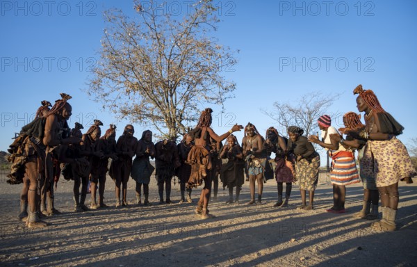 Group of traditional Himba woman standing in a semi-circle, clapping and dancing, music and dance,