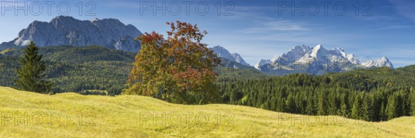 Humpback meadows between Mittenwald and Krün, Werdenfelser Land, behind it the Zugspitze, 2962m,