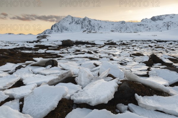 Ice floes, Lofoten island Vestvågøya at the fjord Gimsøystraumen, Lofoten, Northern Norway, Norway,