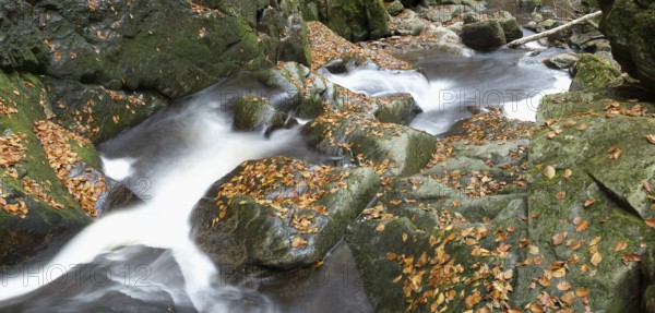 Stream with running water flowing through a rocky landscape covered with autumn leaves, Bavarian