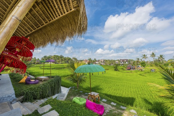 Café and bistro in the rice paddies, seating area, outdoor, gastronomy, travel, tourism, Ubud in