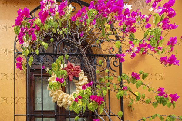 Oaxaca, Mexico, Scenic old city streets and colorful colonial buildings in historic city center,