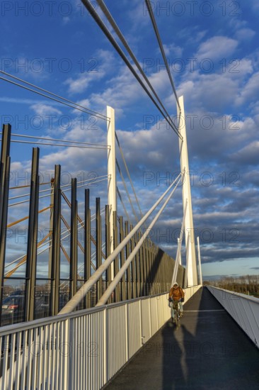 Piers and stay cables of the new motorway bridge of the A40, over the Rhine near Duisburg,