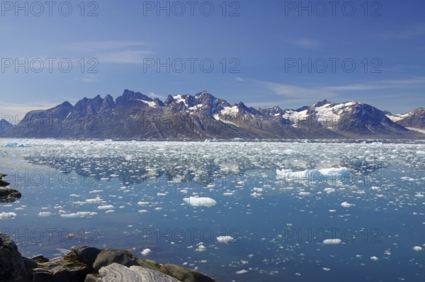 Icebergs floating in crystal clear water with mountains in the background under a blue sky, Knud
