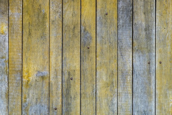 Texture, background, plank wall, wooden wall, peeling paint, Münsterland, North Rhine-Westphalia,