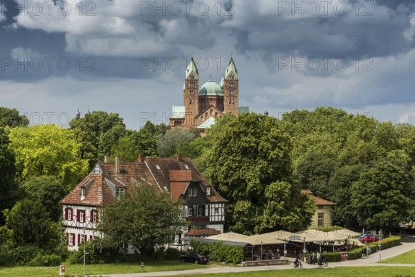 Beer garden on the Rhine and imperial cathedral, St Mary's and St Stephen's Cathedral, UNESCO World