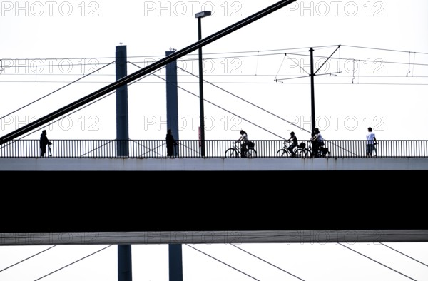 Oberkassler bridge over the Rhine near Düsseldorf, in front, behind the Rheinknie bridge, cyclist,