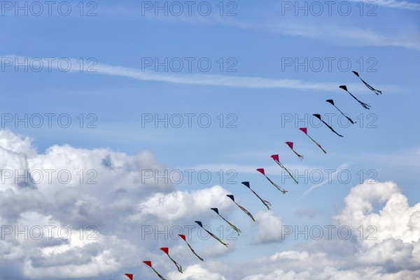 Strung kites flying in the sky, garland, kite festival in Vinsebeck, Steinheim, Eggegebirge and