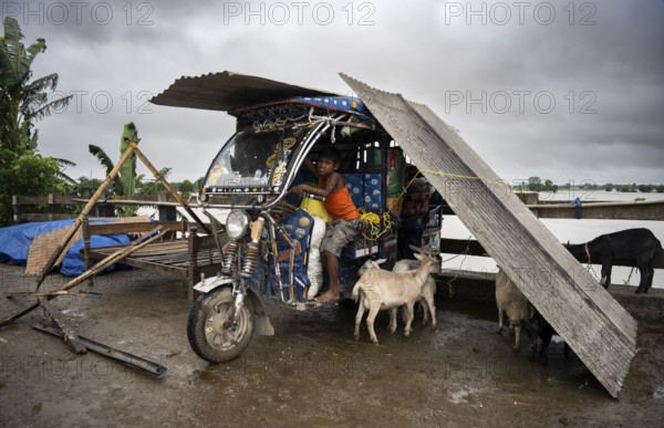 Morigaon, India. 2 July 2024. people takes shelter in a batter rickshaw in a flood affected village