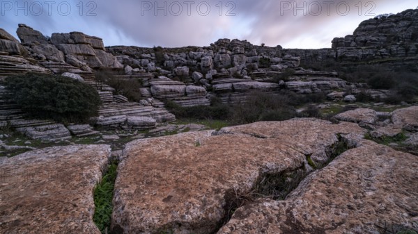 Bizarre limestone rock formations, El Torcal nature reserve, Torcal de Antequera, Malaga province,