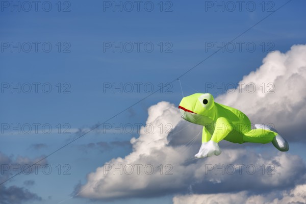 Kite flying in the sky, frog, kite festival in Vinsebeck, Cumulus, copy space, Steinheim,