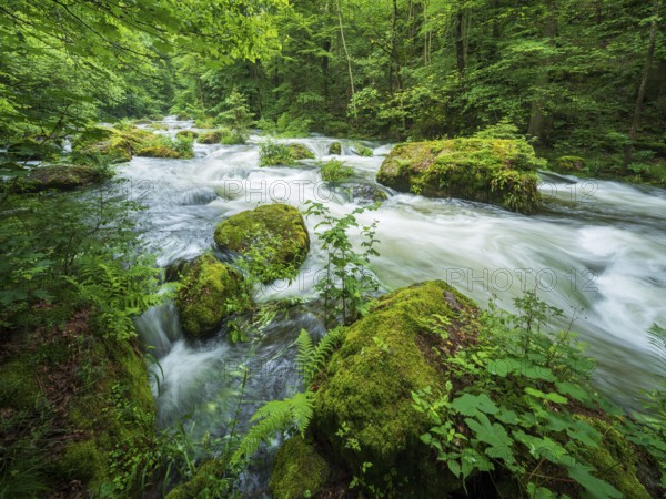 White water and rapids on the Trieb stream in the Triebtal nature reserve in Vogtland, Plauen,