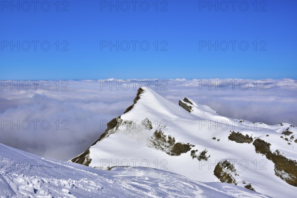 View from the Gottesacker plateau on the Hoher Ifen (2230 m) towards the west, Kleinwalstertal,