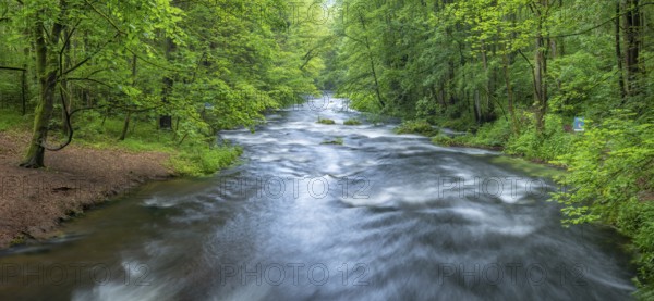 White water and rapids on the Trieb stream in the Triebtal nature reserve in Vogtland, Plauen,