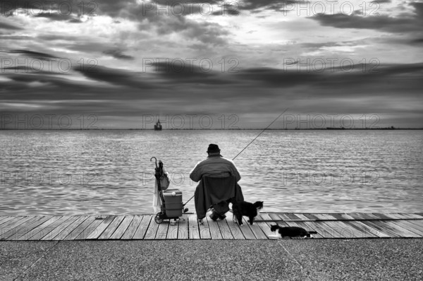 Fisherman, angler sitting on the promenade by the sea, cats, black and white, Thessaloniki,