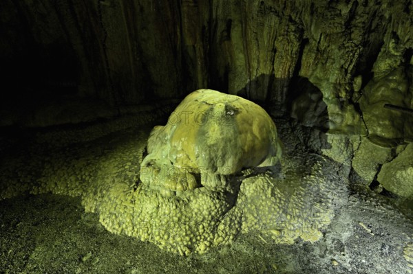 Arched turtle, calcite formation, landmark of the grotto, stalactite cave, Höllgrotten, Baar,