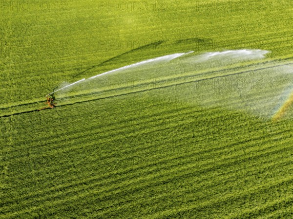 Artificial irrigation of a cereal field in April, with a sprinkler system, long dry spell in spring