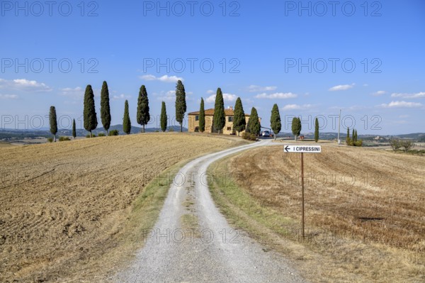 Cypresses in front of a country house, near Pienza, Val d'Orcia, Orcia Valley, Tuscany, Italy,