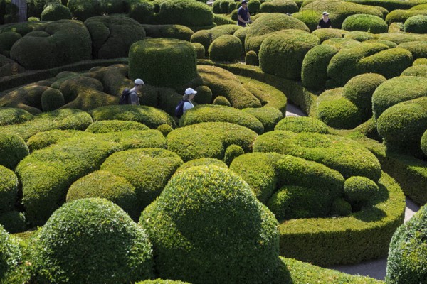 Boxwood garden, Les Jardins de Marqueyssac, Vezac, Dordogne, Périgord, Département Dordogne, Region