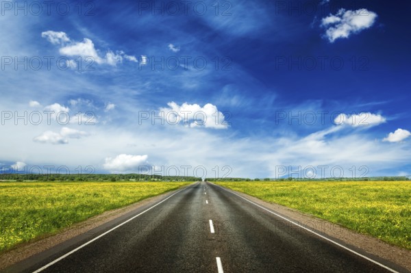 Travel concept background, an empty road with a blue sky and blooming green spring fields on either