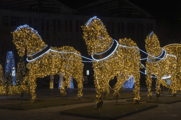Golden horse figures, cathedral square, world of lights, Magdeburg, most extensive Christmas and