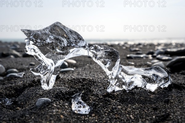 Ice, piece of ice on black sand beach, on black lava beach Diamond Beach, Southeast Iceland,