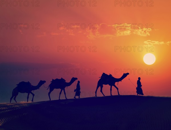 Vintage retro effect filtered hipster style image of Rajasthan travel, two indian cameleers camel