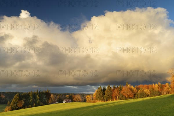 Autumn landscape in the Allgäu. A meadow, a farm, forest and trees in colourful autumn leaves. Sun