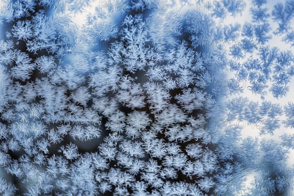 Ice crystals, snow crystals on glass, window pane of a flat in winter, illustration, symbol image,