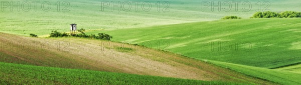 Panorama of Moravian rolling landscape with hunting tower shack on sunset. Moravia, Czech Republic,