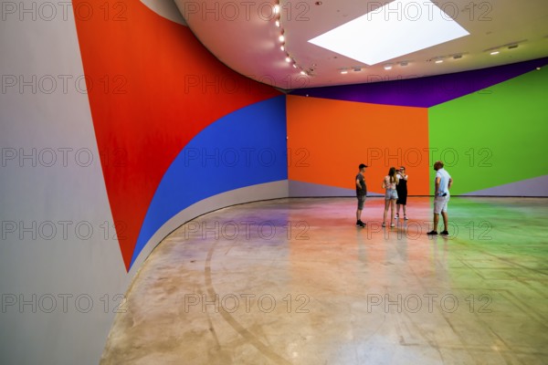 Guggenheim Museum, architect Frank Gehry, interior view, artist Sol Lewitt, Bilbao, Basque Country,