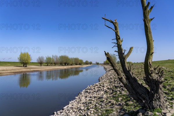 The Gierthausen oxbow lake near Schenkenschanz, Kleve, on the Lower Rhine, North Rhine-Westphalia,