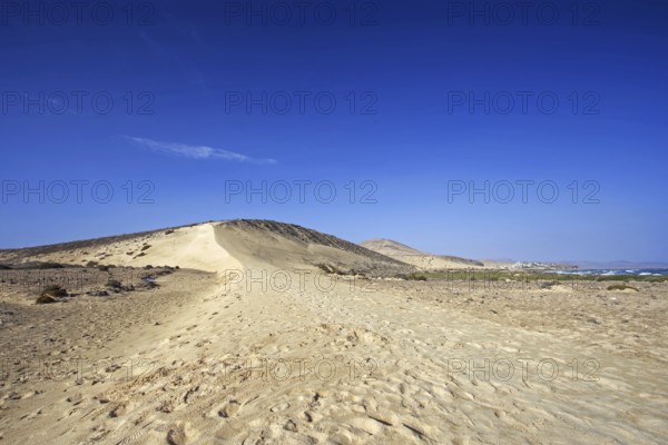 Wet sand dune and beach Playa Risco del Paso, Playa de Sotavento, Pajara, Fuerteventura, Canary