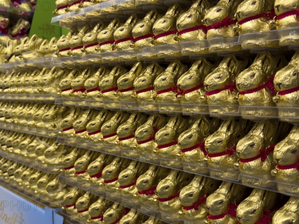 Display on retail shelf wholesale of large quantity of chocolate Easter bunnies chocolate Easter