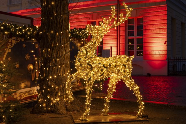Reindeer with lights, figure, decoration, Christmas market at Charlottenburg Palace, blue hour,