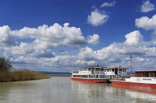 Bicycle ferry at the landing stage, Illmitz, National Park, Lake Neusiedl, Seewinkel, Burgenland,