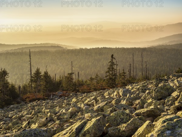 View from the Lusen with Blockmeer in the golden evening light, Bavarian Forest National Park,