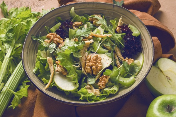 Fresh, Waldorf salad, celery stalk with chicken, apple and walnut, grapes, herbs, homemade, no